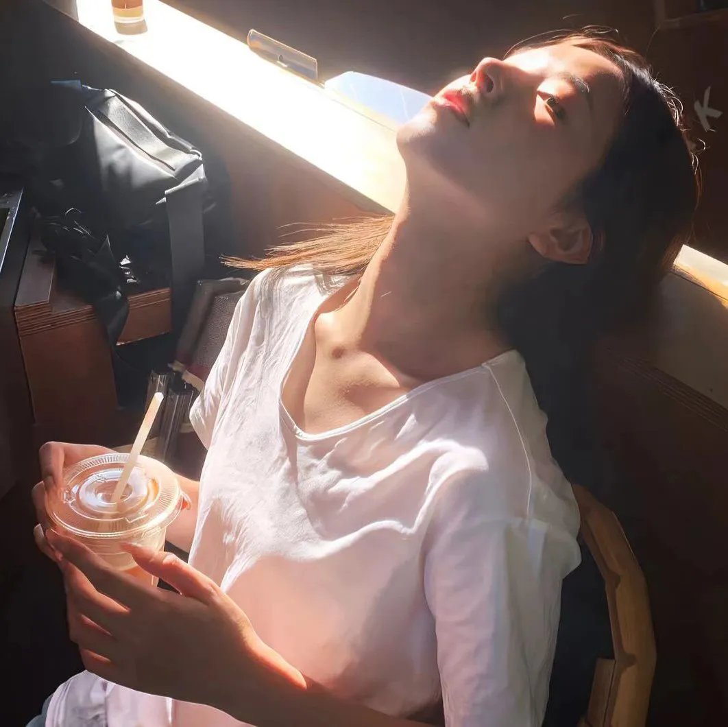 树袋熊封面